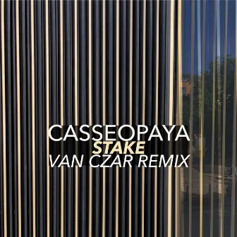 Stake (Van Czar Remix) by Casseopaya