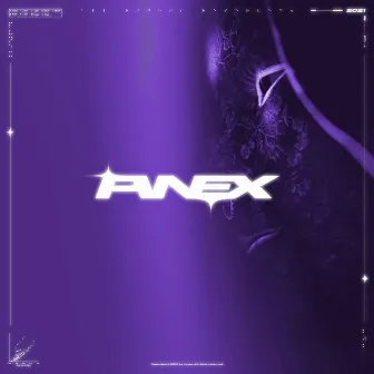 FUTILE by PVNEX