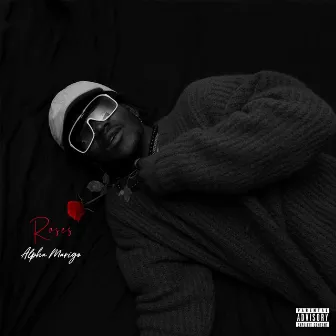 Roses by Alpha Marigo