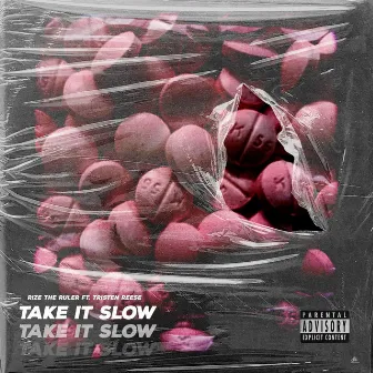 Take It Slow by Rize The Ruler