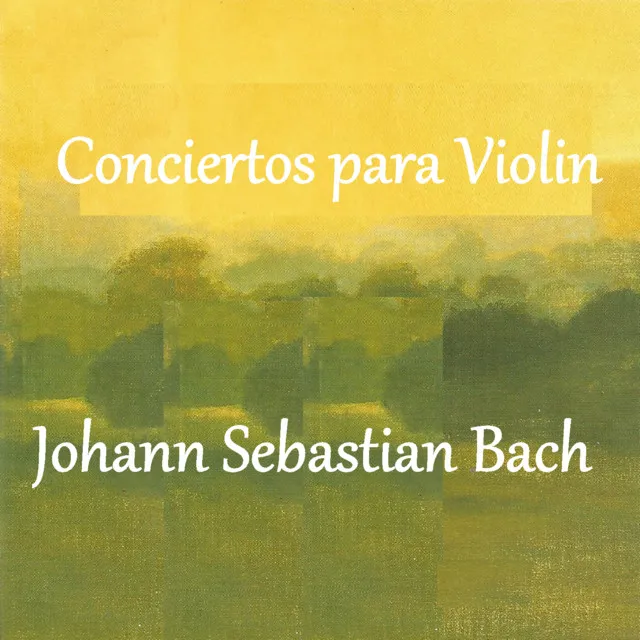 Violin Concerto in E Major, BWV 1042: III. Allegro assai