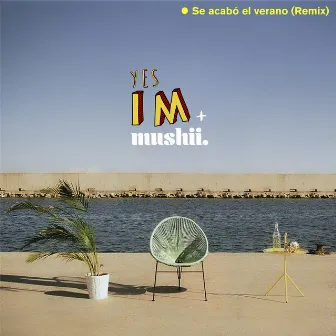 Se Acabó el Verano (Remix) by mushii.