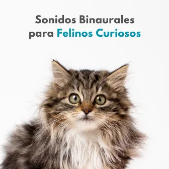 Sonidos Binaurales Para Felinos Curiosos by Música de gatos