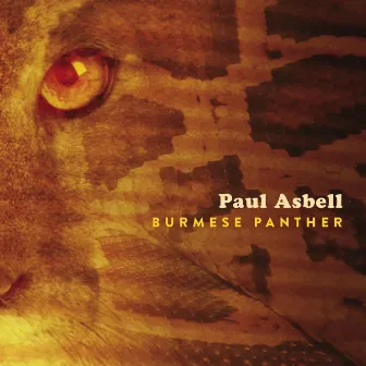 Burmese Panther by Paul Asbell