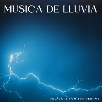 Música De Lluvia: Relájate Con Tus Perros by Las leyendas de la música canina