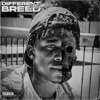 Different Breed by LGM QUIS