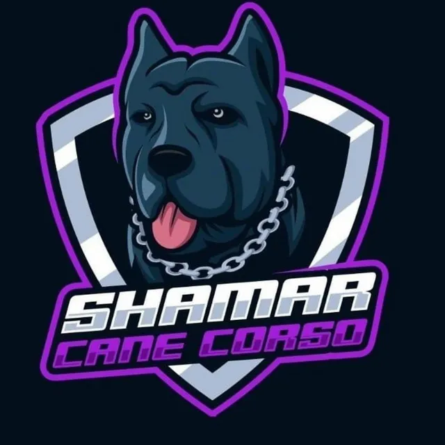 Shamar Cane Corso