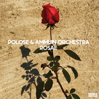 Rosae by Polose