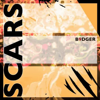 Scars by B9dger