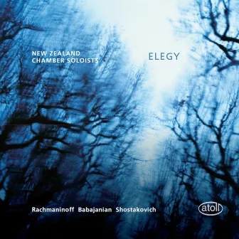 Elegy by New Zealand Chamber Soloists