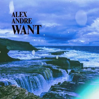 Want by Alex Andre