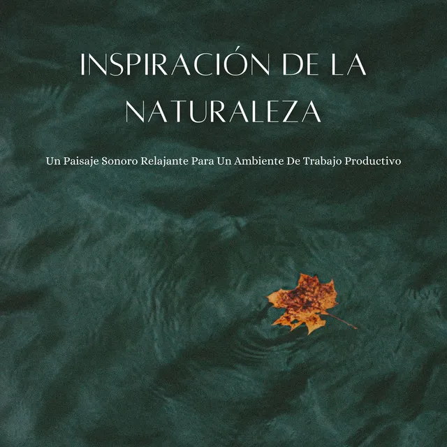 Inspiración De La Naturaleza: Un Paisaje Sonoro Relajante Para Un Ambiente De Trabajo Productivo