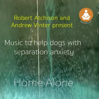 Home Alone by Robert Atchison