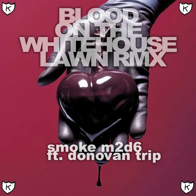 Blood on the White House Lawn - Remix