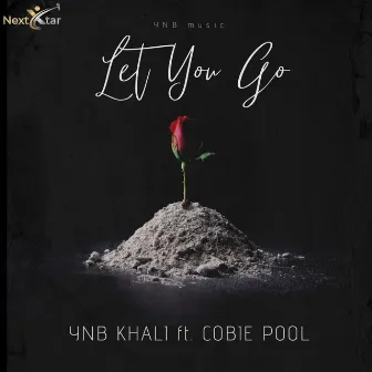 Let You Go by YNB Khali