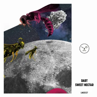 Sweet Nectar by Dart