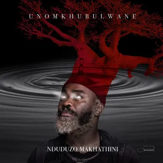 uNomkhubulwane by Nduduzo Makhathini