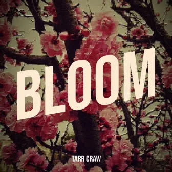 Bloom by Tarr Craw