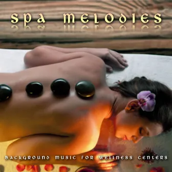 Spa Melodies: Background Music for Wellness Centers by Unknown Artist