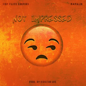 Not Impressed by Top Flite Empire