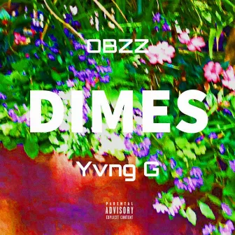 Dimes by Obzz