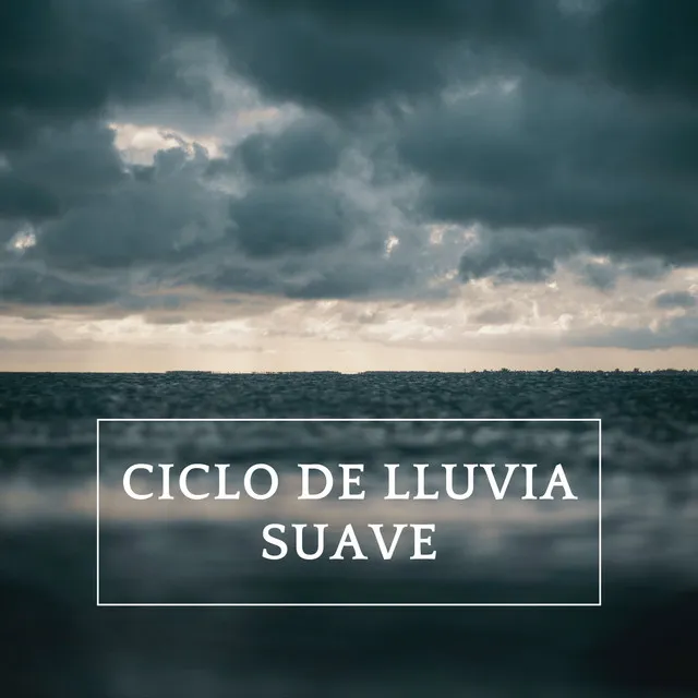 Ciclo De Lluvia Suave