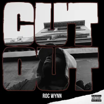 Cut Out by Roc Wynn