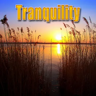 Tranquility (Nature Sounds) by Best Nature Sounds