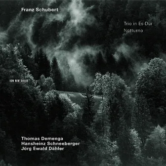 Schubert: Trio in Es-Dur, Notturno by Thomas Demenga