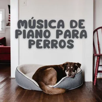 Música De Piano Para Perros by Canciones de jazz para perros