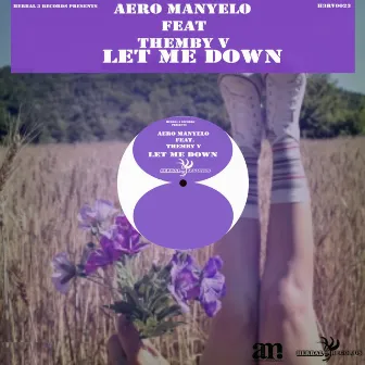 Let Me Down by Aero Manyelo