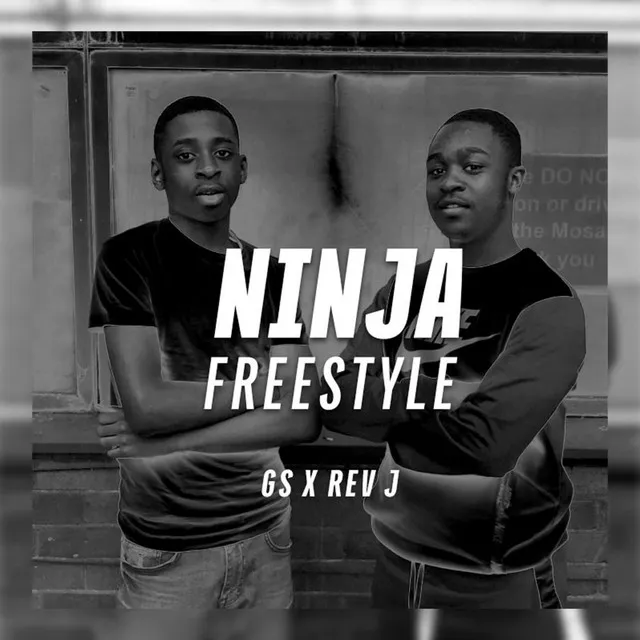 Ninja Freestyle