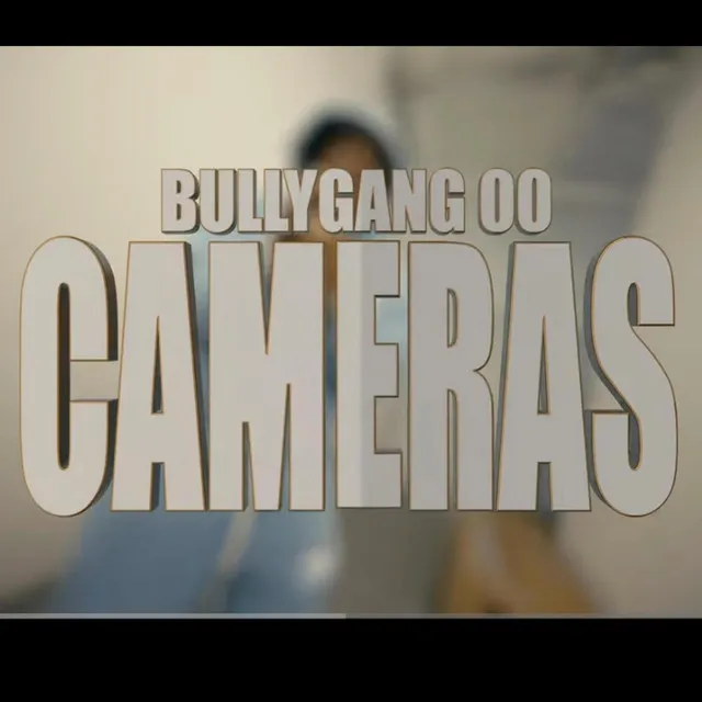 Cameras