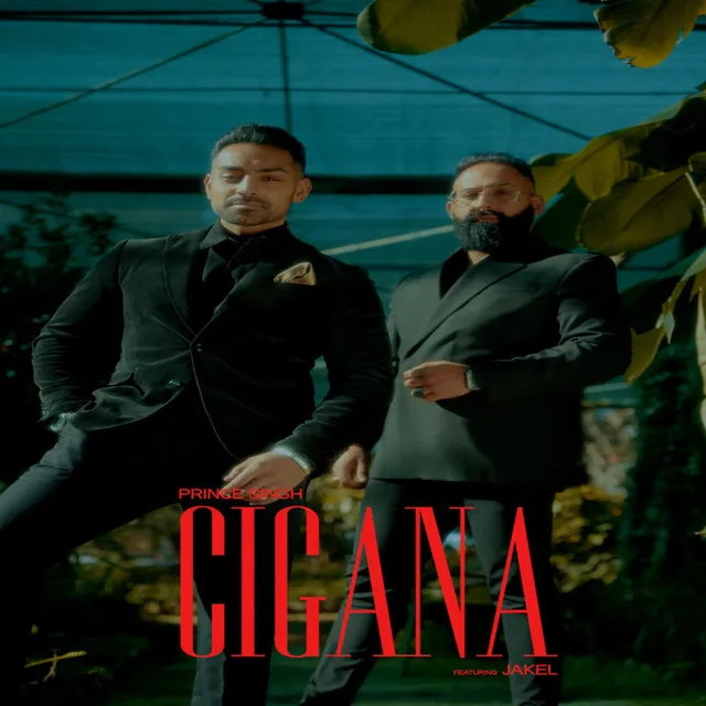 Cigana