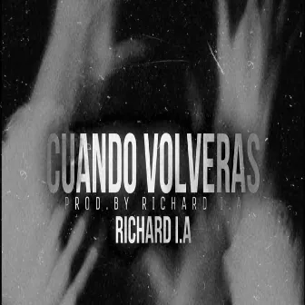 ¿Cuándo Volverás? by Richard I.A