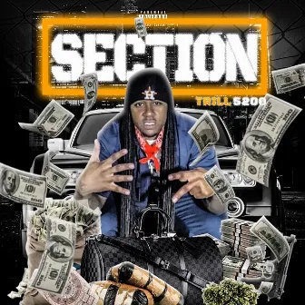 Section by Trill5200