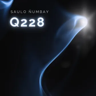 Q228 by Saulo Ñumbay