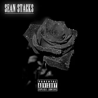 Black Rose by Sean Stacks