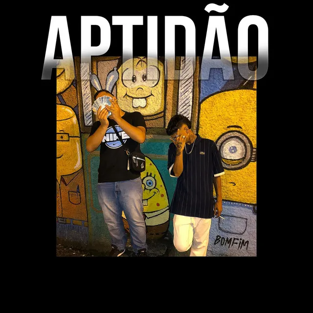 Aptidão