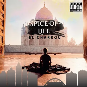 Spice of Life by El Charrou