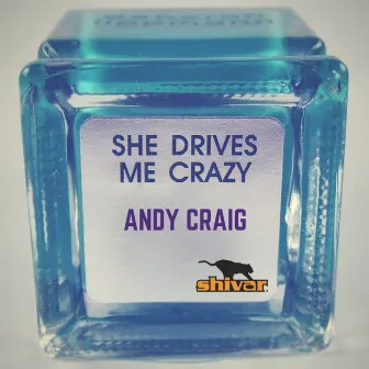 She Drives Me Crazy by Andy Craig