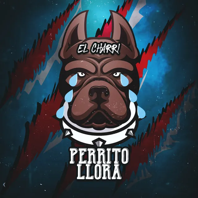 Perrito Llora