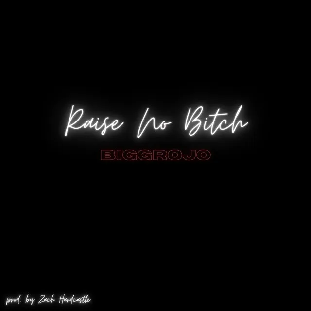 Raise No Bitch Official