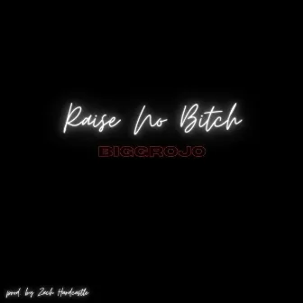 Raise No Bitch Official by Biggrojo