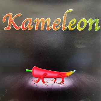 Kameleon by Bufu Sanna