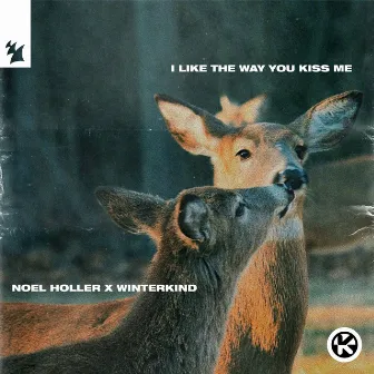 i like the way you kiss me by Noel Holler