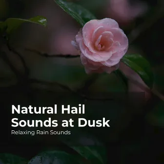 Natural Hail Sounds at Dusk by Rain for Sleep