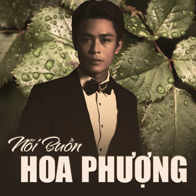 Nỗi Buồn Hoa Phượng