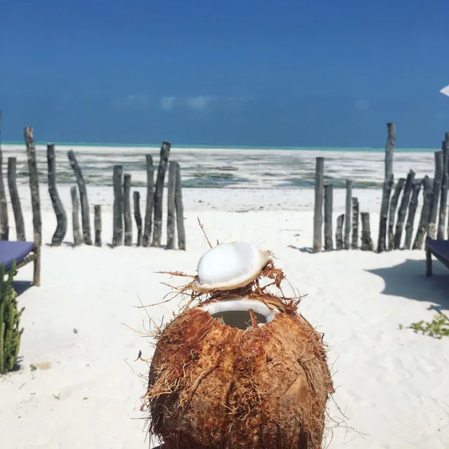 Na plażach Zanzibaru