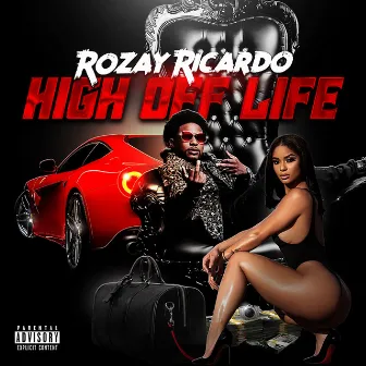 High Off Life by Rozay Ricardo